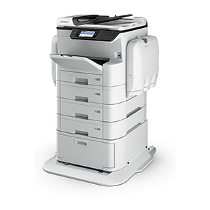 Epson RIPS WORKFORCE PRO WF-C869R DTWF
